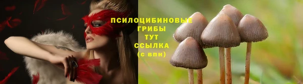 марки nbome Верея