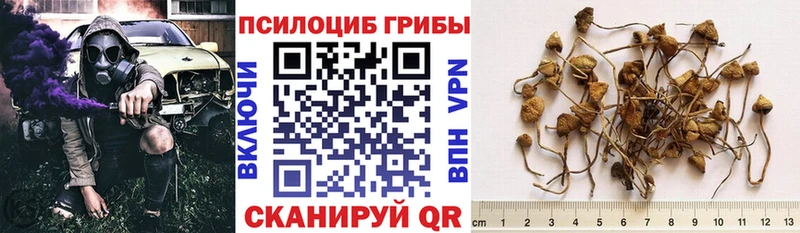Псилоцибиновые грибы ЛСД  Купить где  Удачный 